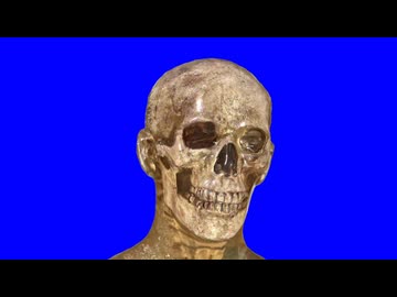 田ドクロ浩二BB.BB