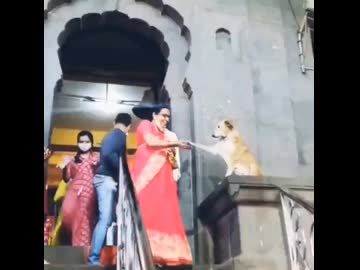 ホモと見るインドのセーブポイント