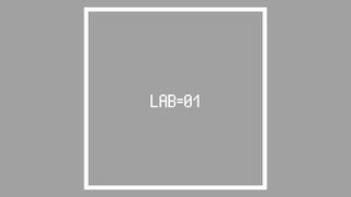 LAB＝01