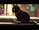 Lo-Fi BGM｜be absorbed in deep thought｜深い思考にふける