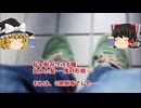 【怖い話】G県厨【ゆっくり解説】７