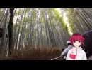 ブルアカのおかげで京都に来れてよかった～～！！【京都旅行最終日】