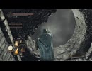 虚ろの衛兵NPCのみ
