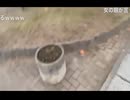 外配信をしていたら卑猥な言葉を浴びせられました...