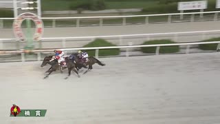 第58回楠賞 フジユージーン