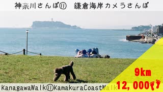 【神奈川さんぽ⑪】NikonSPで撮る鎌倉海岸カメラさんぽ【結月ゆかり】【voiceroid】