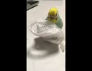 虹のふもとへ