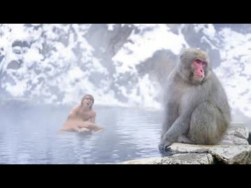 【再】AIを使って拓也さんを温泉の所有者にする