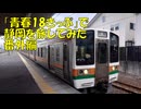 【鉄道旅行】「青春18きっぷ」で静岡を旅してみた　番外編