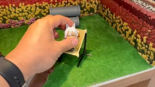 広島のガチャ撮りの場所で混血のカレコレのシディを置いて動画を撮ってみた草