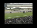 2010 エリザベス女王杯 (GI)　スノーフェアリー Snow Fairy (IRE)