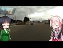 CeVi&Synthe_song
