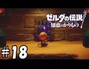 またキミかぁ・・・【ゼルダの伝説 知恵のかりもの】18