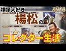 【三國志8 REMAKE】賄賂大好き楊松さんで収集家エンドを目指してみる！（189年7月シナリオ） #02 完