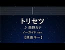 カラオケ♬トリセツ - 西野カナ 【ガイドメロディなし】 インスト, 歌詞