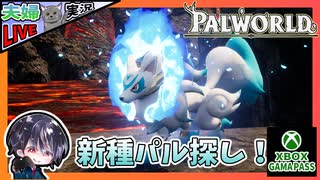 未開拓エリアを探索して新パルをテイムするどー！！【夫婦実況】【ゆきとの日常】【パルワールド】