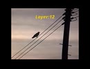 Layer:12 / 宮舞モカ・星界