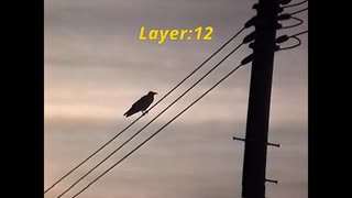 Layer:12 / 宮舞モカ・星界