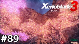 この景色を守るための戦い【ゼノブレイド3】#89