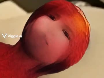 目力エルモ.ai