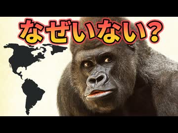 類人猿がアメリカ大陸にいない理由がこちら【解説】