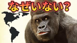 類人猿がアメリカ大陸にいない理由がこちら【解説】
