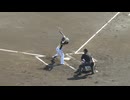 栃木ゴールデンブレーブス石川慧亮バッティングフォーム＜NPB独立リーグ交流戦 読売ジャイアンツ 対 BCL選抜 2024年9月12日＞