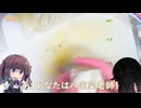 【夏色花梨＆花隈千冬料理実況】めしどきおーきーどーきー　二菜目【ニコ食フェス2024秋:麺（あんかけ揚げ焼きそば）】
