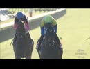 2024 デイリー杯2歳S (GⅡ)　ランフォーヴァウ