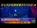 ゼルダの伝説知恵のかりもの　ハイラル平原南部の無　トリィの仲間を助ける（東の敵）　秘められた思い　ミニチャレンジ攻略　＃３４２