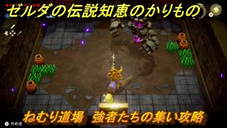 ゼルダの伝説知恵のかりもの　ねむり道場　強者たちの集い攻略　＃３４６