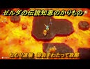 ゼルダの伝説知恵のかりもの　ねむり道場　溶岩をわたって攻略　＃３４８