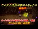 ゼルダの伝説知恵のかりもの　ハートのかけらの場所ねむり道場１１個目　封じられた戦い・極攻略　＃３５２