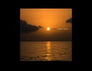 Endless Summer