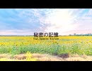 秘密の記憶 / 鏡音リン・レン