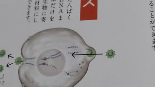 日本人限定。遺伝子切断【福島原発タンク内】ワクチン。の可能性あり。1000002622