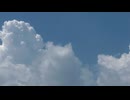 瞬きのたびにシャッターが切れたらいいのに