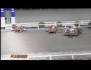 2024年11月9日高知競馬6R まき＆まい協賛 祝オークスさん特別(C3-9組) ナムラバンチー