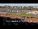 【ウマ娘風】第26回GⅠブリーダーズカップ・フィリー&メアターフ(デルマー・2024)