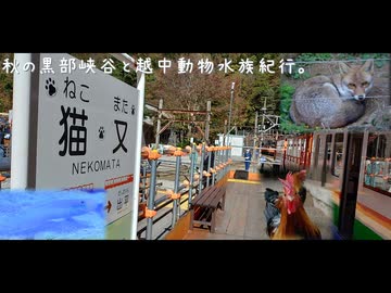 秋の黒部峡谷と越中動物水族紀行。