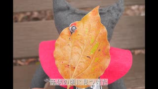 【オリジナルMV】少年カメラ／40ｍP 歌ってみた あみっこ