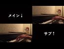 【妖精大戦争】『春の氷精』を2重奏で演奏してみた。
