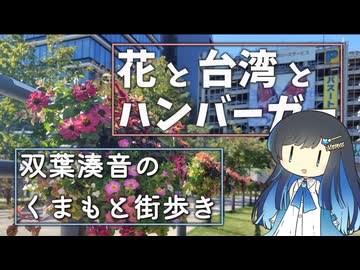 ３連休に沸く街をお散歩するよ【双葉湊音のくまもと街歩き】