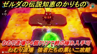 ゼルダの伝説知恵のかりもの　ねむり道場　強者たちの集い二攻略　ねむり道場１４個クリアで終の極み入手可　＃３５５