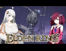 【エルデンDLC】きりきずは、影の地で。part14