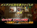 ゼルダの伝説知恵のかりもの　一刀両断ダ！　ムシャブリン解放　ダンペイラボ　ミニチャレンジ攻略　＃３５６