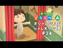 オシャレなお店での試着【あつまれ どうぶつの森】#34