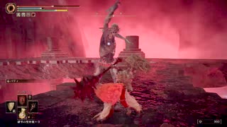中年BBAのエルデンリング初見プレイ 第二百九回目