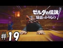 飛行するモグラ【ゼルダの伝説 知恵のかりもの】19