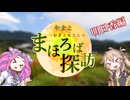 【徒歩旅行】やまとまほろば探訪【明日香編】
